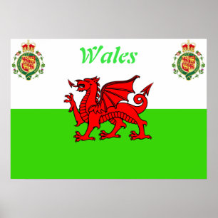 walisische Flagge Poster