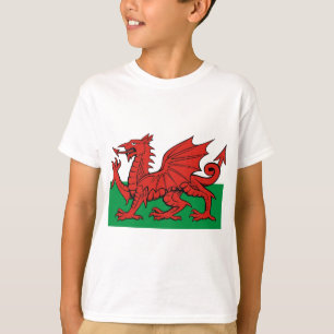 Walisische Flagge, tragen sie mit Stolz T-Shirt