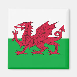 Walisische Flagge (Wales) (walisischer Drache) Magnet