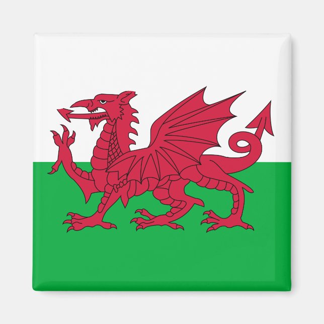 Walisische Flagge (Wales) (walisischer Drache) Magnet (Vorne)