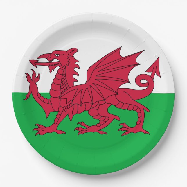 Walisische Flagge (Wales) (walisischer Drache) Pappteller (Vorderseite)