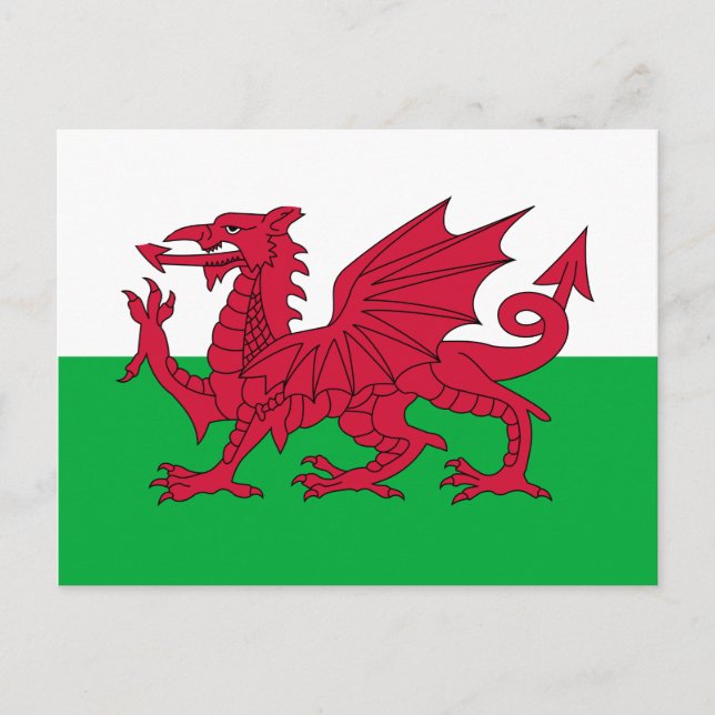 Walisische Flagge (Wales) (walisischer Drache) Postkarte (Vorderseite)
