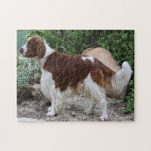 Walisische Springer Spaniel Hund Puzzles. (Horizontal)