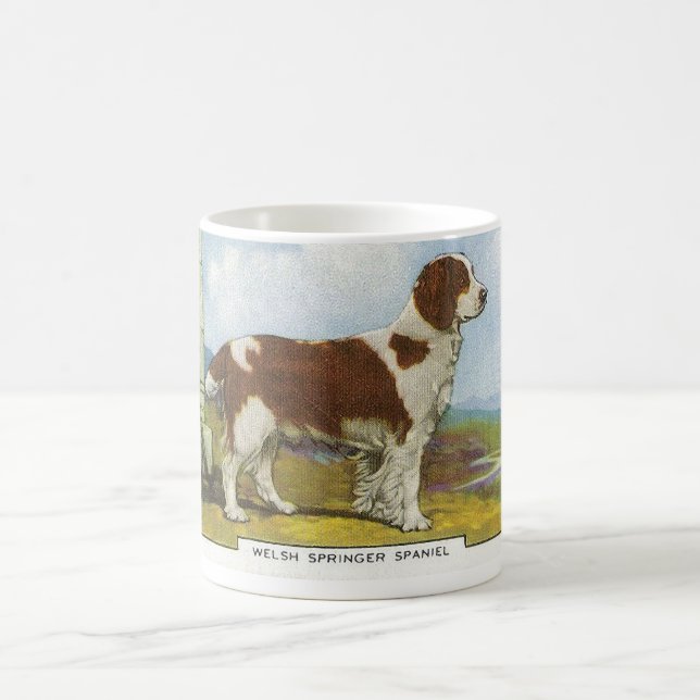 Walisische Springer Spaniel Kaffeetasse (Mittel)