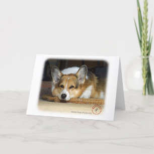 Walisischer Corgi (Pembroke) Karte