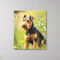 Walisischer Terrier in Wildblume Wiese