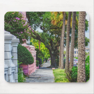 Walk Along Rainbow Row Mousepad