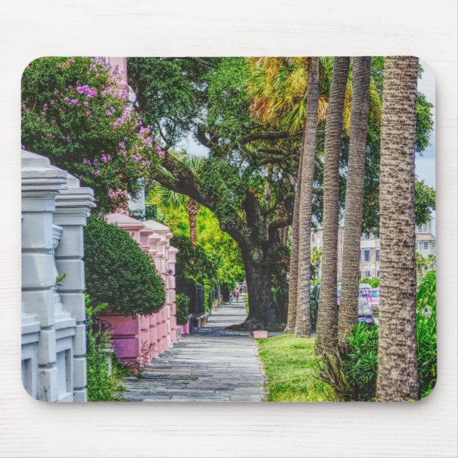 Walk Along Rainbow Row Mousepad (Vorne)