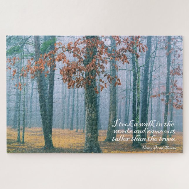 Walk in the Woods - 20x30 - 1014 Stk. (Horizontal)