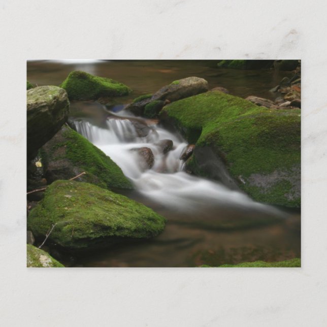 Walker Creek Postcard Postkarte (Vorderseite)