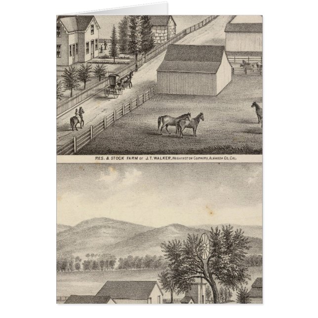 Walker, Knittel-Residenzen, Bauernhöfe (Vorne)