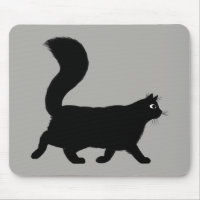 Walking Black Cat | Coole Kitty mit Fluffy Schwanz