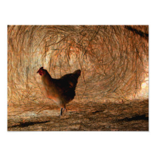"Walking" - Digital erweitertes Foto Chicken & Hay