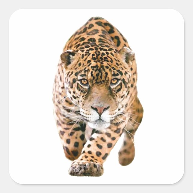 Walking Jaguar Eyes Quadratischer Aufkleber (Vorderseite)