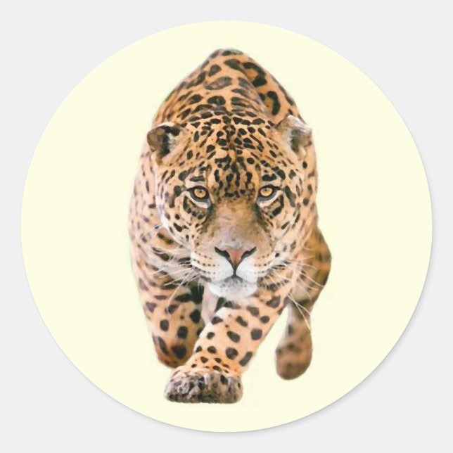 Walking Jaguar Eyes Runder Aufkleber (Vorderseite)