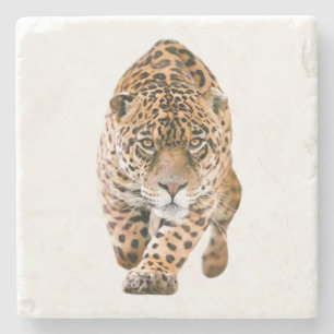 Walking Jaguar Eyes Steinuntersetzer