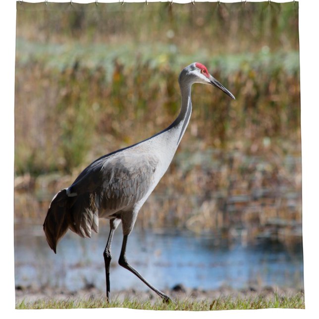 Walking Tall, Sandhill Crane Duschvorhang (Vorderseite)