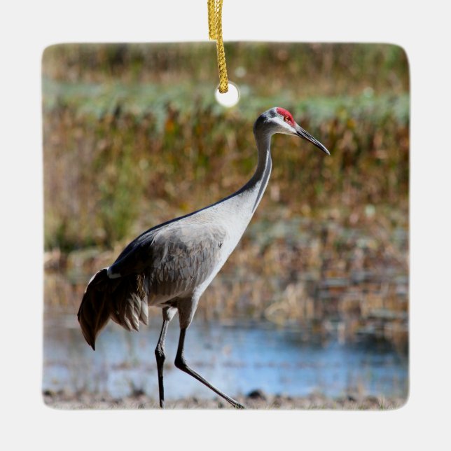 Walking Tall, Sandhill Crane Keramikornament (Vorderseite)