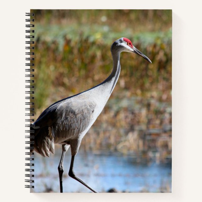 Walking Tall - Sandhillkranich Notizbuch (Vorderseite)