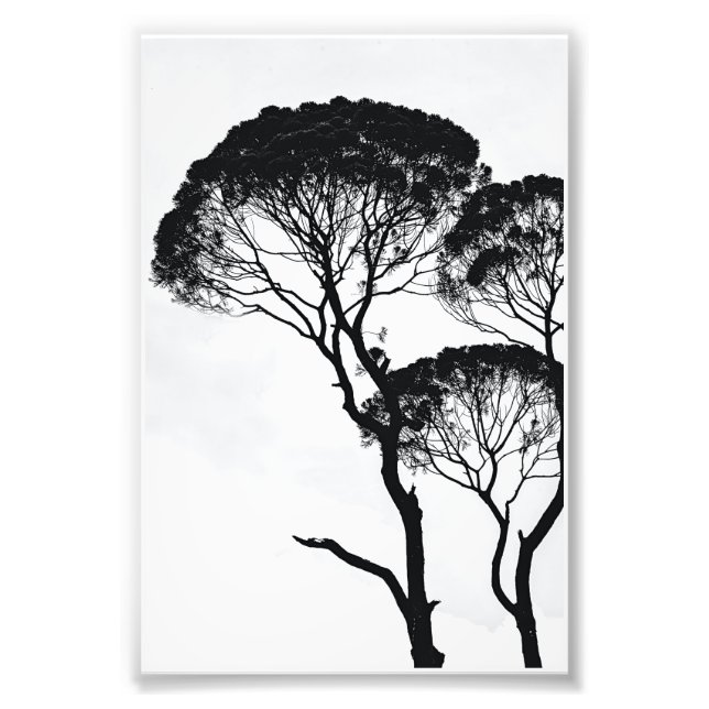 Wall Art Fotodruck (Vorne)