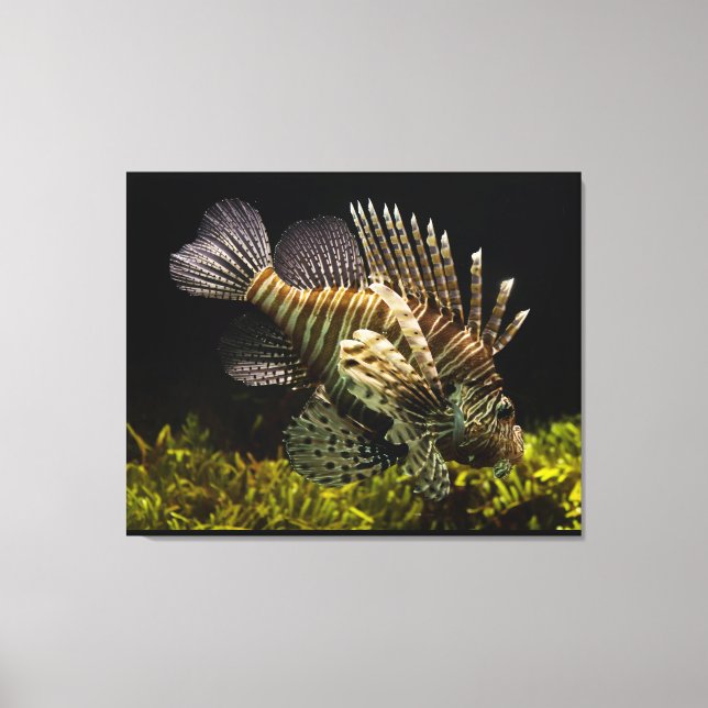 Wall Art Leinwanddruck (Vorderseite)