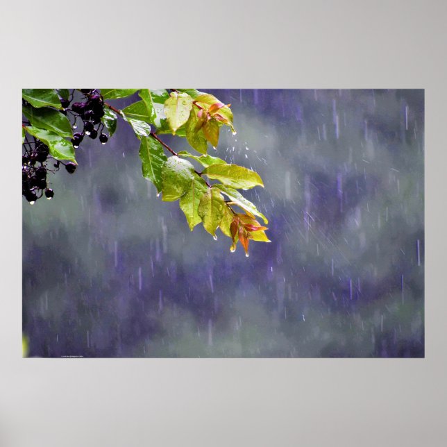 Wall Art Poster (Vorne)