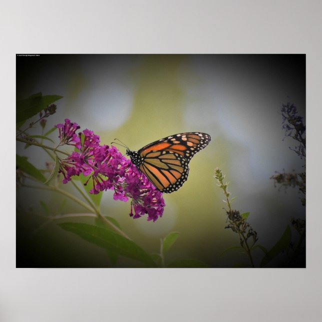 Wall Art Poster (Vorne)