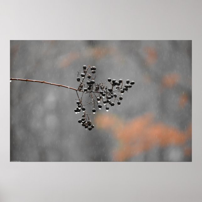 Wall Art Poster (Vorne)