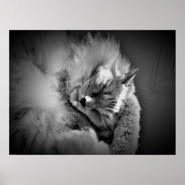 Wall Art Poster (Vorne)