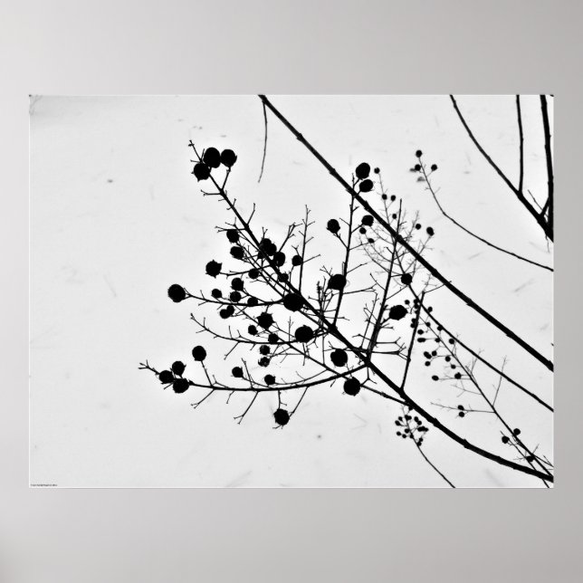 Wall Art Poster (Vorne)