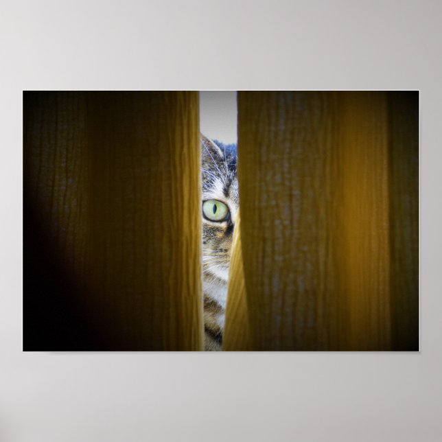 Wall Art Poster (Vorne)