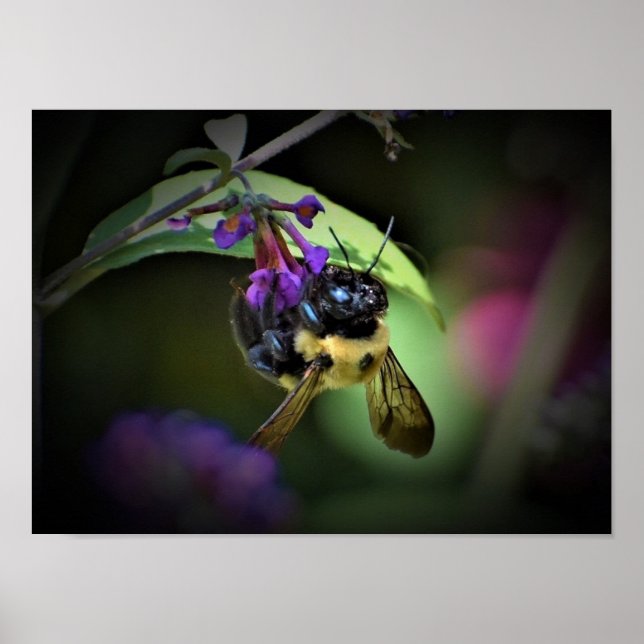 Wall Art Poster (Vorne)