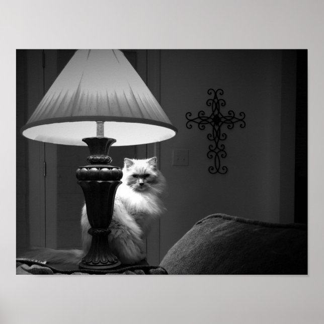 Wall Art Poster (Vorne)