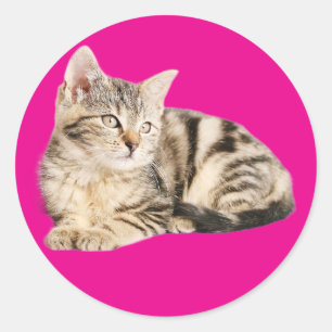 Wall Art Poster Cat Liebhaber Runder Aufkleber