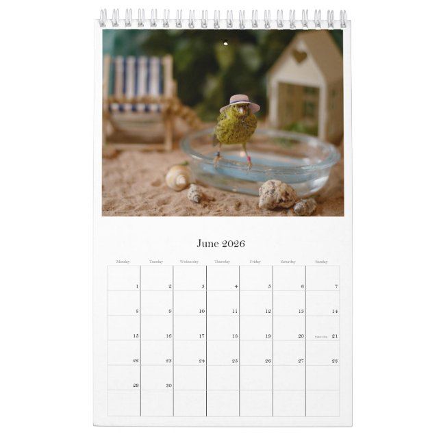 Wall Calendar Niedliche Vögel Haustiere Kanarische Kalender (Jun 2026)