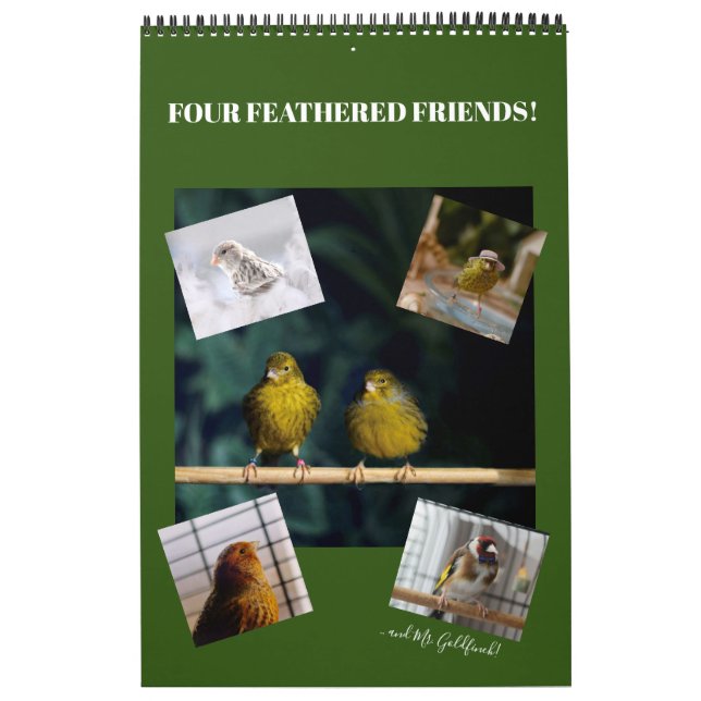 Wall Calendar Niedliche Vögel Haustiere Kanarische Kalender (Titelbild)
