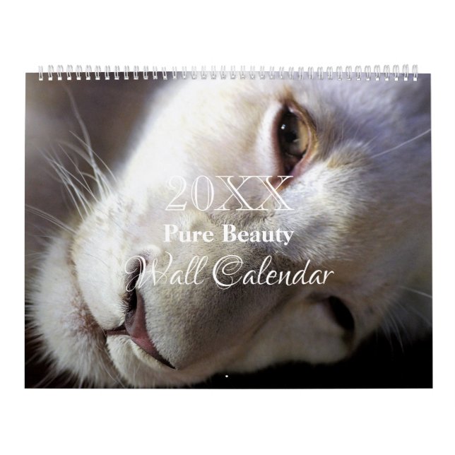 Wall Calendar - Schönheit durch HAMbyWG Kalender (Titelbild)