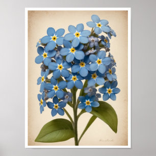 Wall Poster Schönes Vergessen-Me-Not-Blume-Poster