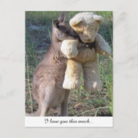 Wallabing étreindre nounours carte postale vous ai