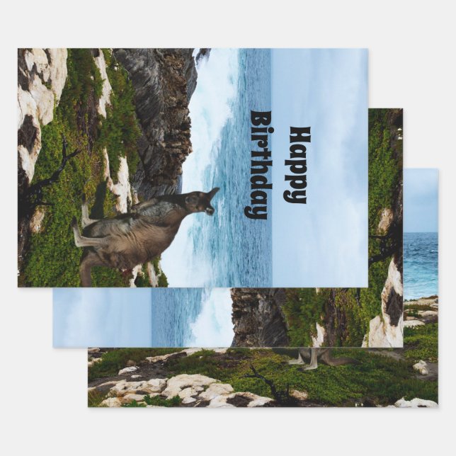 Wallaby auf den Felsen am Meer, Geschenkblätter Geschenkpapier Set (Set)