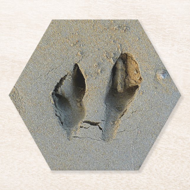 Wallaby Footprints in Sand Untersetzer (Vorderseite)