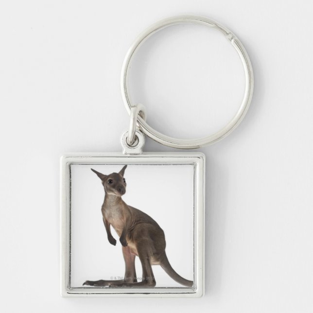 Wallaby - Macropus robustus (3 Monate alte) Schlüsselanhänger (Vorne)