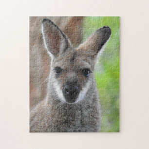 Wallaby-Puzzlespiel