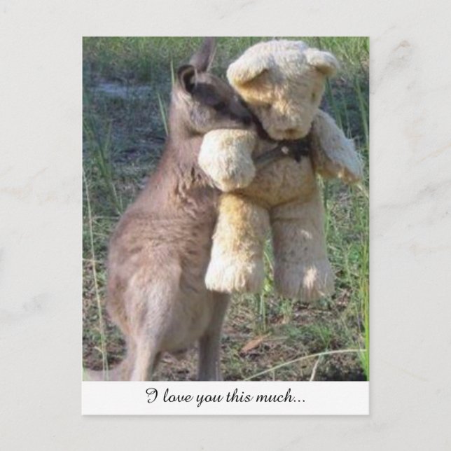 Wallaby umarmt Teddybear Postcard Liebe Postkarte (Vorderseite)