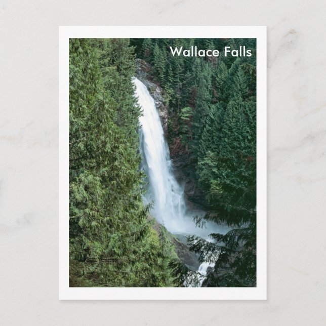 Wallace Falls Postkarte (Vorderseite)