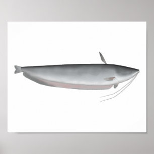 Wallago Poster