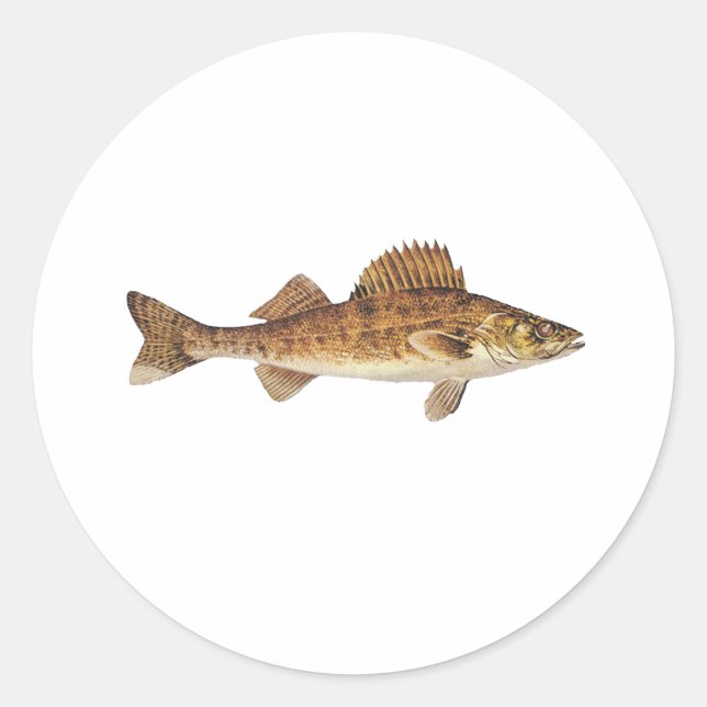 Walleye Art Runder Aufkleber (Vorderseite)