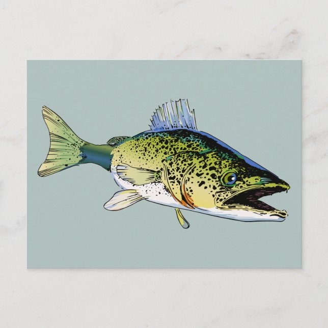 Walleye Postkarte (Vorderseite)