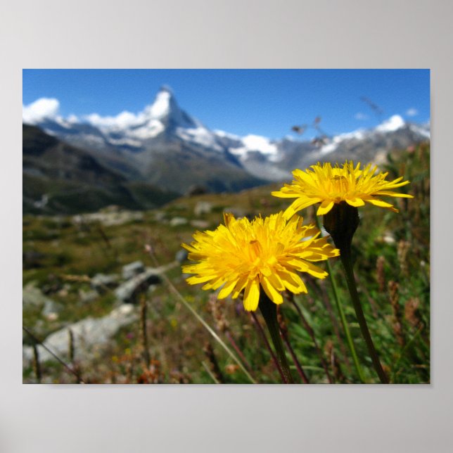 Walliser Alpen Schweiz Poster (Vorne)