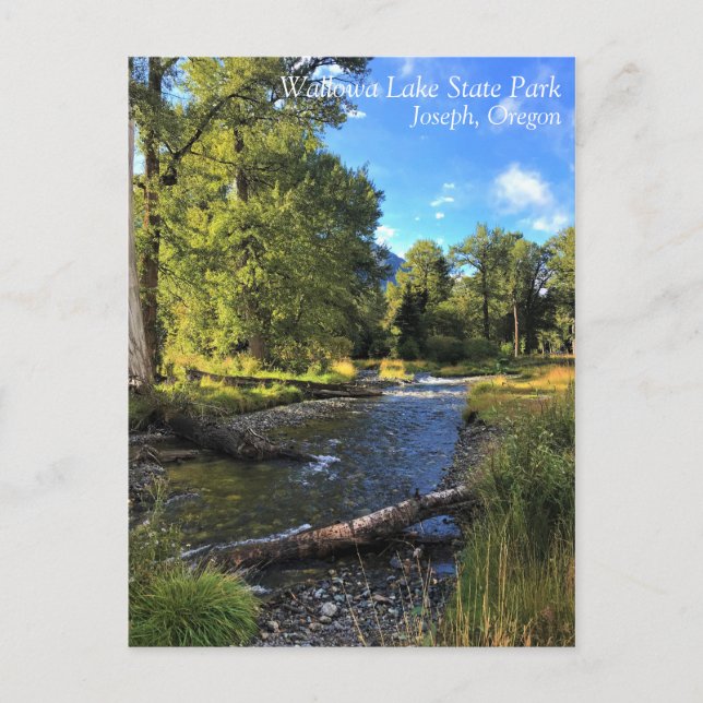 Wallowa Lake Staat Park, OR Postkarte (Vorderseite)